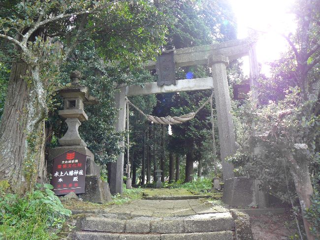 ���㔪���_��