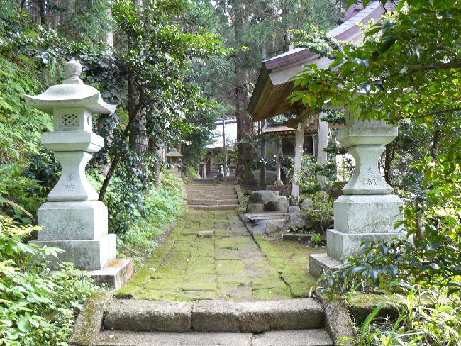 ���㔪���_��