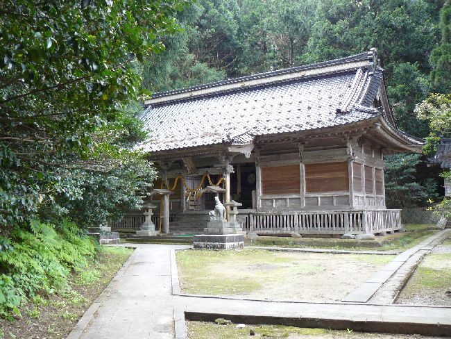 ���㔪���_��