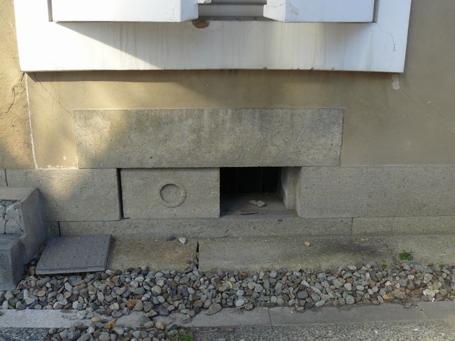 �O��Ƒ����~