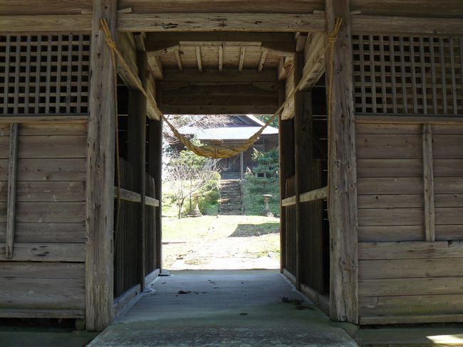 ���d�_��