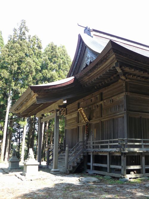 ���d�_��