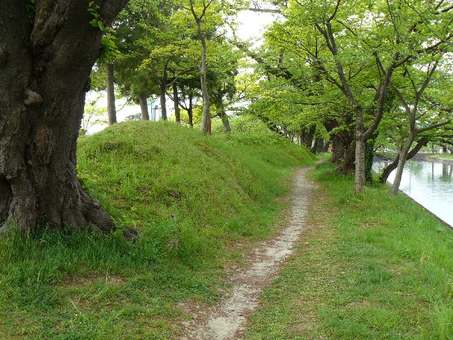 �߃�����