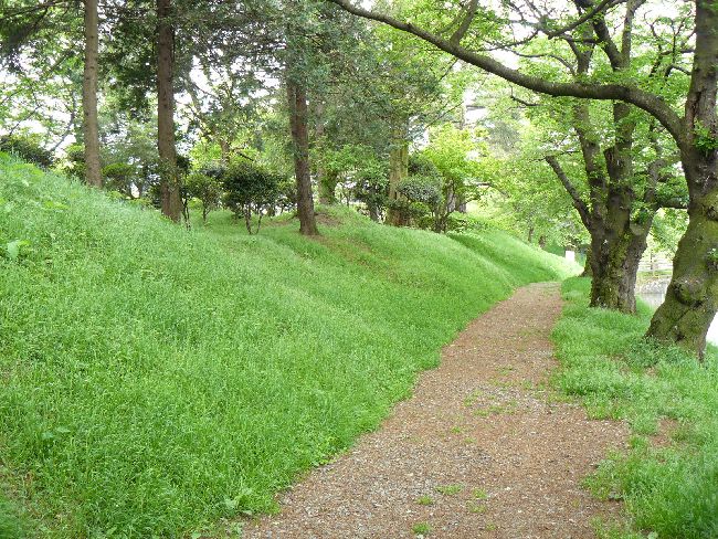 �߃�����