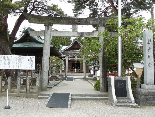 �����_��