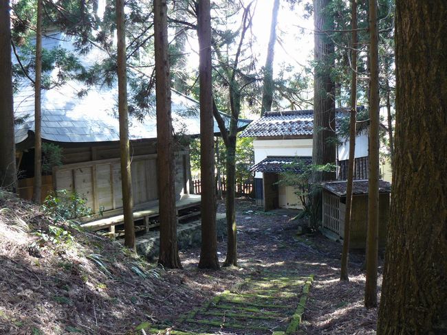 �c�씪���_��