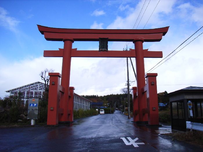 �����_��