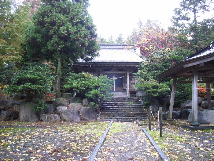 �����_��