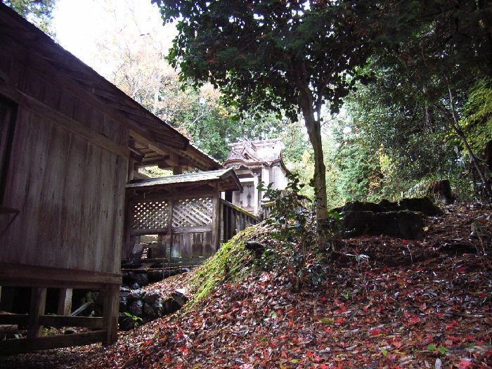 �����_��