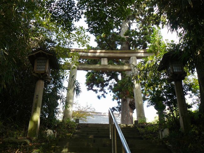 ���C�R�啨���_��(���Y���V�{)