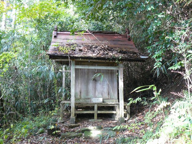 ���C�R�啨���_��(���Y���V�{)