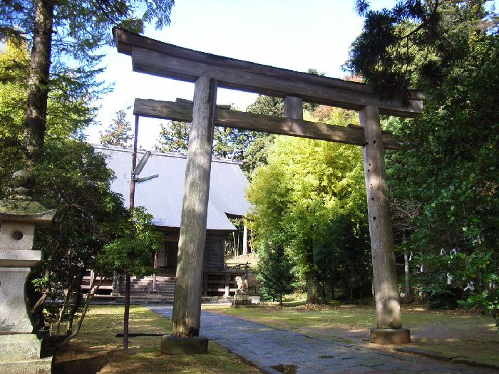 ���C�R�啨���_��(�n�����V�{)