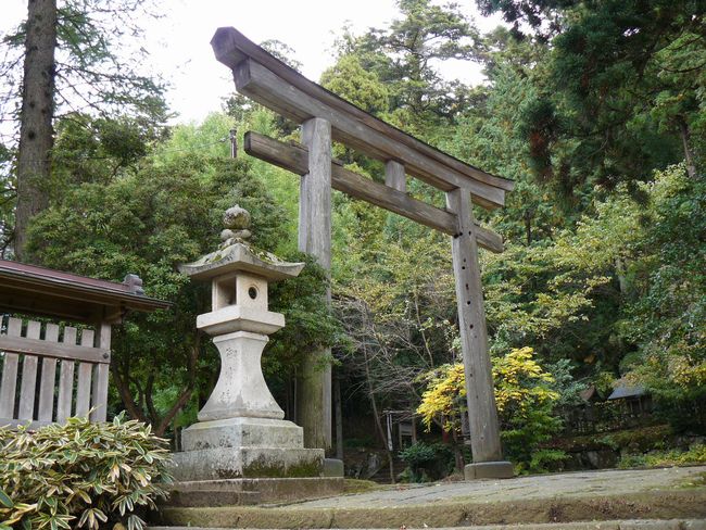 ���C�R�啨���_��(�n�����V�{)