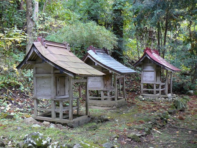 ���C�R�啨���_��(�n�����V�{)