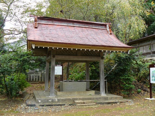 ���C�R�啨���_��(�n�����V�{)