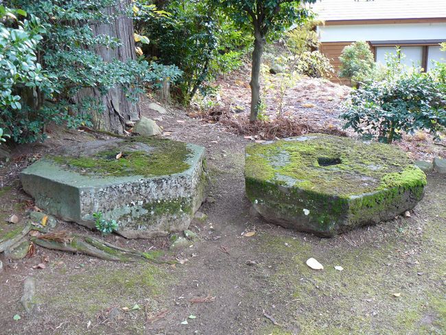 ���C�R�啨���_��(�n�����V�{)