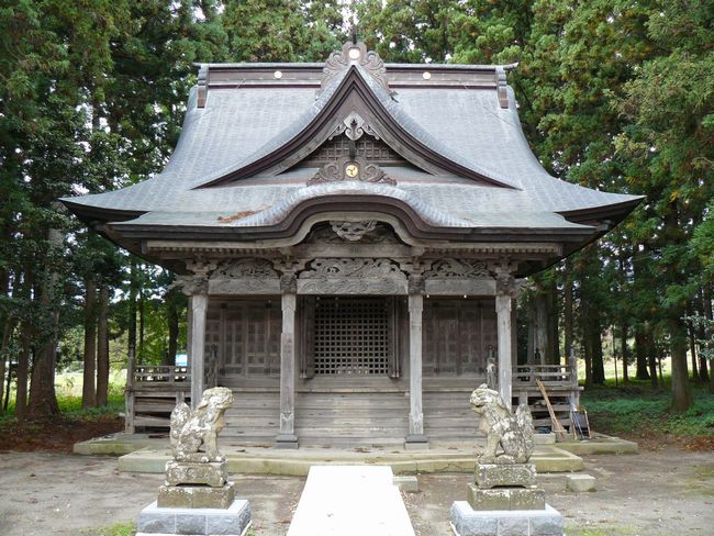 ����F��_��