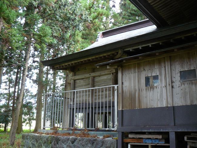 ����F��_��