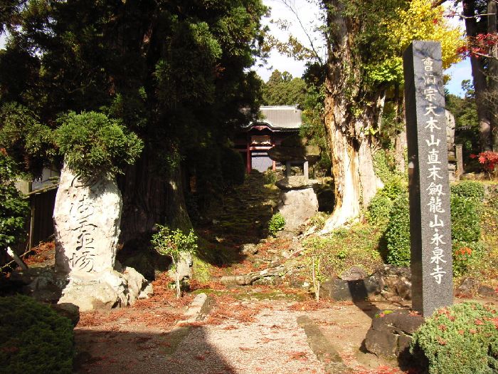 �i�򎛁i���w���j