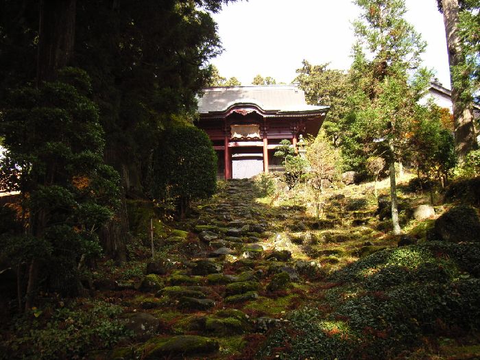 �i�򎛁i���w���j