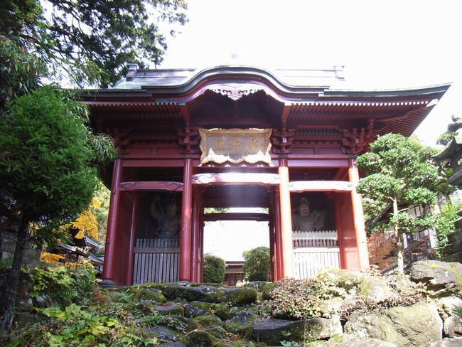 �i�򎛁i���w���j