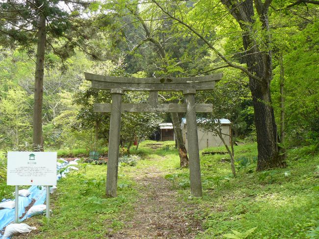 �����s��