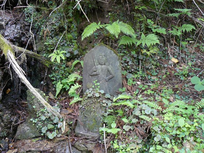 �����s��