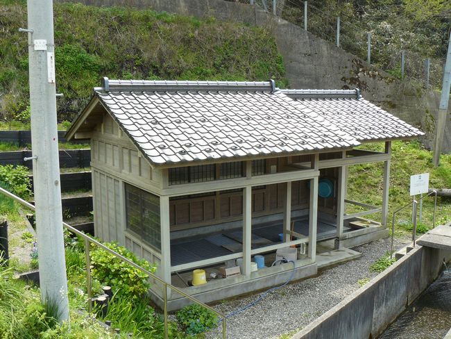 �K�b�L�̐����ݏ�