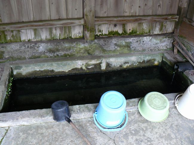 �w�Z��앺�q�̈��