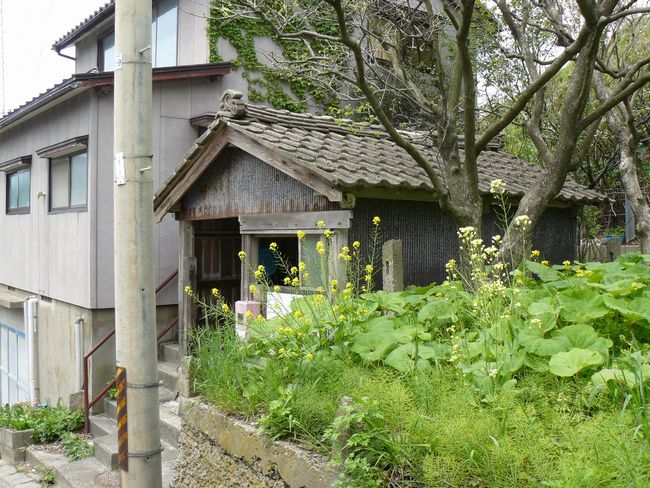 �w�Z��앺�q�̈��