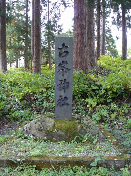 �Õ��_�Д�