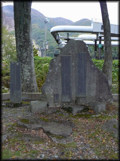 ��̑�΋g�̔�